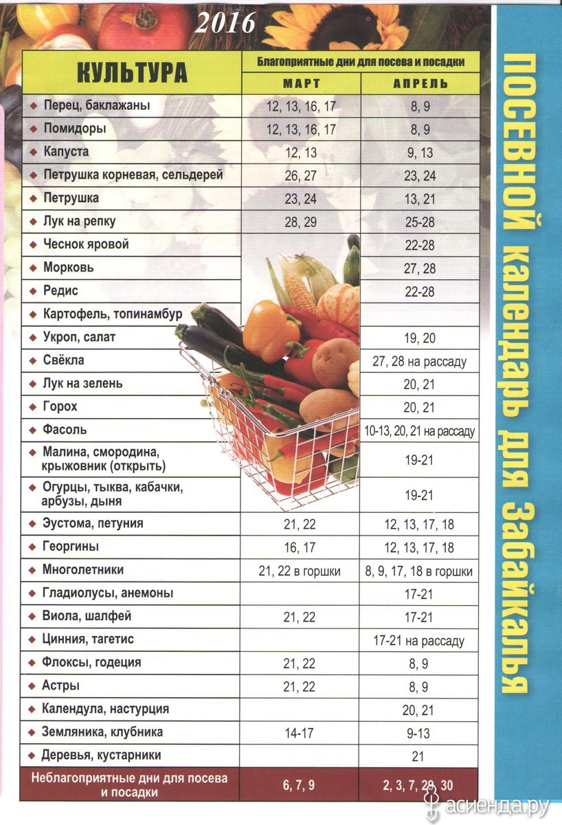 Дни для пересадки рассады в апреле. Благоприятные дни для высадки рассады томатов. Благополучные дни для посадки перца. Благоприятные дни для посева перца на рассаду. Благоприятные для высадки рассады в марте.