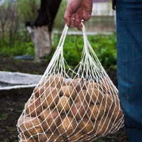 Реинкарнация авоськи