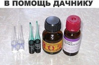 ����������� � �� ���������� �� ����