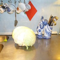 � � ���� ��������?...