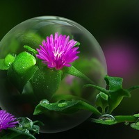 Мир в капле дождя