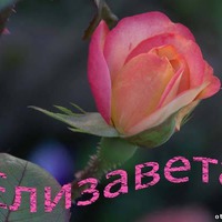 Начинаем февральские поздравления.