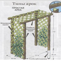ШПАЛЕРА - СТИЛЬНОЕ УКРАШЕНИЕ САДА.2