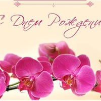 С Днем рождения Худошу поздравляем!