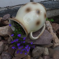 Что еще можно изменить на дачном участке