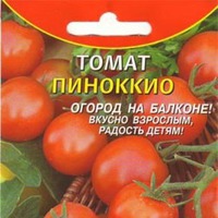Томат ПИНОККИО Для Ленобласти и подоконника с балконом