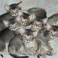 ��� �����... � �� ������...
