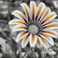 ����� ���������, ����� ���� ���������.. ������..