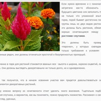 Сладкие парочки для вашего сада