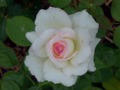 2012. . - Biedermeier Garden. .
