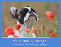 Позитив