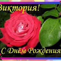 С Днем рождения, Вика!