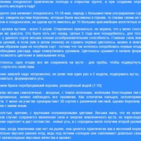 Будем знакомы - Королева Елизавета, земляника ремонтантная