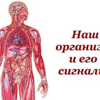 Наш организм и его сигналы.