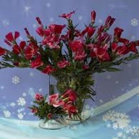 Февральские именинницы