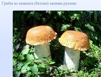 Альбом "Грибы из цемента (бетона) своими руками"