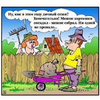 Сказка про дачу )))