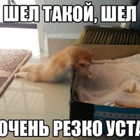 ���� ��� ������� ��������� � ����� ����� ����������.