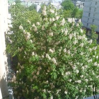Настроение
