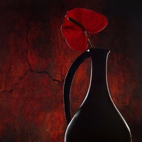 ������� (Sangria)