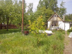 Дача. Июнь 2015