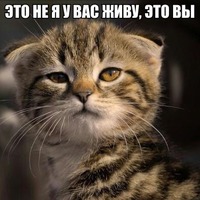 ������ ���� ������� � ���������!!!