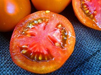 �������� � Pink Grapefruit �i-Color