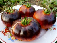 �������� � Red Charcoal � ������� �����