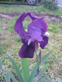 ��� ������������ ���� ��������!