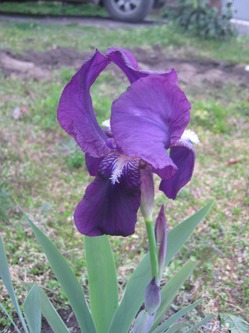 ��� ������������ ���� ��������!