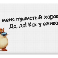 Вечерний позитив...