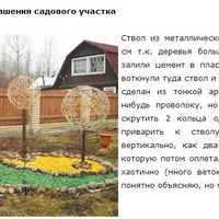 "Круглые деревья" для украшения садового участка