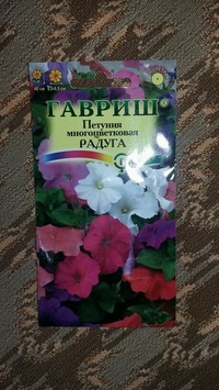 Петунья многоцветковая