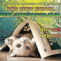 Воскресный КОТЭ - позитивчик