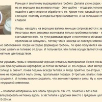 Земляника под укрытием от Галины Непомнищих