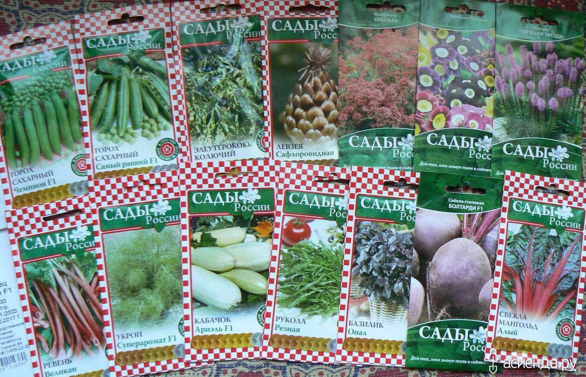 семена сады россии купить в интернет магазине