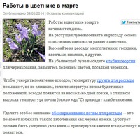 Работы в цветнике в марте