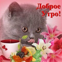 ���������� ���� - ����������