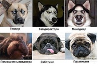 Смешно или грустно?