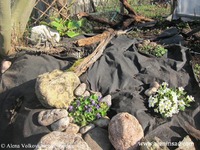 Использование черного спанбонда в саду и огороде