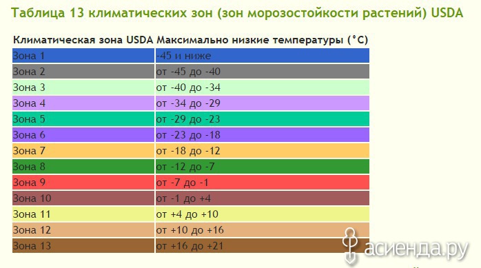 температурная зона москвы