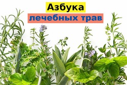 Азбука лечебных трав
