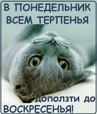 Позитвчик