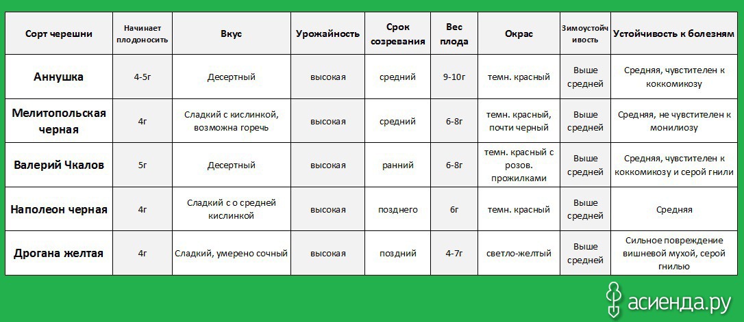 Сроки созревания яблони. Таблица урожайности черешни. Сорта вишни таблица. Таблица цветения сортов черешен. Совместимость сортов черешни.