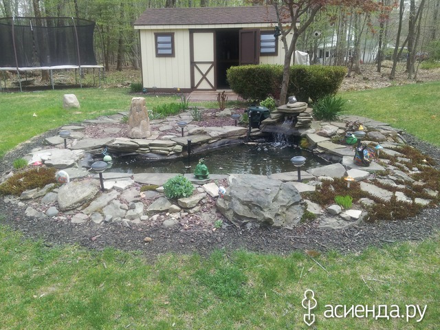 spring