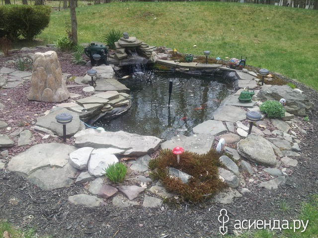 spring