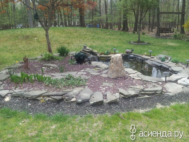 spring