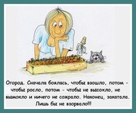 Вся дачная жизнь в одной картинке
