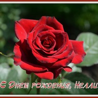Поздравляем Нелли