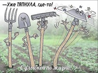 Все всё посадили? Заходите отдохнуть и посмеяться!